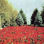 Грозный. В парке Дворца культуры им. Ленина.