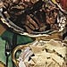 Мясо сушеное по чечено-ингушски